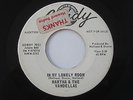 MARTHA & THE VANDELLAS In My Lonely Room / A Tear For Gordy WLP Promo 45 HEAR