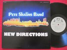 PETE SHALINS BAND   NEW DIRECTIONS   RARE PRIVATE NEW JERSEY POLKA LP LEMANS  NM