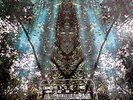 Osmose - Ariel Kalma (2014, Vinyl NEW)