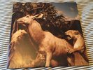 Interpol Our Love To Admire 2X Vinyl Lp Oop Post Punk Strokes White Stripes
