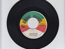 GROVE MUSIC/PICK THE BEAM OUT OF MY EYES - VIVIAN JACKSON  (77  REGGAE ROOTS 7