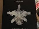 Kings Of Leon - A-Ha Shake Heartbreak Double Album On Clear Vinyl