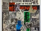 Stevie Wonder 