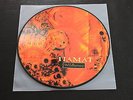 Tiamat - Wildhoney LP Rarität Picture Vinyl
