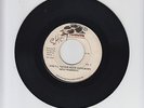 THE TURNTABLE/YOU'LL NEVER NEED SOMEBODY -  MERLYN BROOKS (74  ISLAND SOUL  7