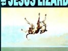 Jesus Lizard - Down [Vinyl New]