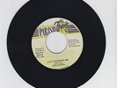 PARISH/CAN'T DISTRESS ME  -  KING KONG  (88 DIGI ROOTS 7