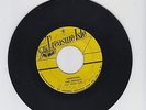TREASURE ISLE/RENEGADE, DUCK SOUP  -   BABA BROOKS BAND   (65 INSTRUMENTAL 7