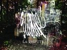 La Dispute - Wildlife 2LP 1st Press Dark Yellow / Clear Limited to 500
