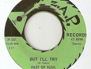 THE FILET OF SOUL But Ill Try ZAP OBSCURE NORTHERN SOUL 45