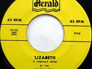 The THRILLERS 45 'Lizabeth / Please Talk To Me HERALD label DOO WOP w5630
