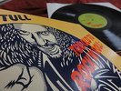 JETHRO TULL    