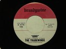 THE TRADEWINDS Gobi BRANDYWINE  M-  hear soundclip GARAGE