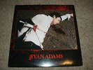 Ryan Adams - Rock N Roll (EU pressing)  (EX+ / EX)