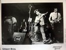 THE GIBSON BROS DEDICATED FOOL ORIGINAL LP TEST PRESSING WITH PHOTO UNPLAYED