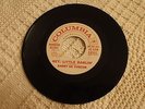 TEEN  BARRY DE VORZON HEY LITTLE DARLIN/ROSEMARY COLUMBIA 41612 PROMO M-