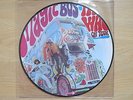 THE WHO Magic Bus Scarce German LP picture disc in clear plastic sleeve