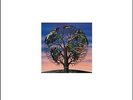 Talk Talk Laughing Stock LP vinyl record sealed reissue tears for fears