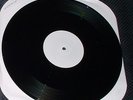 PINHEAD GUNPOWDER:Carry The Banner TEST PRESS,Recess,Billy Green Day,Crimpshrine