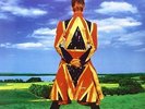 DAVID BOWIE EARTHLING VINILE LP 180 GRAMMI  NUOVO SIGILLATO 