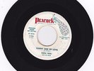 Rare Texas R&B WLP 45 Raful Neal & His Band 