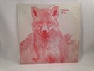 RARE DISCO FOX 
