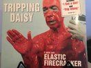 Tripping Daisy - 