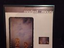 Modest Mouse - The Lonesome Crowded West original pressing vinyl