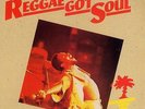 TOOTS & THE MAYTALS - REGGAE GOT SOUL - NEW VINYL LP