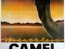 CAMEL - 1978 - Konzertplakat - Breathless - Tourposter - Concert - München
