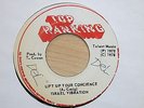 ISRAEL VIBRATION Lift Up Your Concience / Dub Fashion Jamaican 7