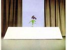 Wire - Chairs Missing (LP, Album, 3rd) - Vinyl - 112146
