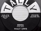 WALLY LEWIS Donna / Kathleen TEEN ROCKABILLY original label 45 on TALLY  M203