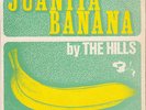 THE HILLS/ THE IN-BETWEENS 1966 EP *TAKE A HEART