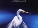 Faith No More - Angel Dust LP - Slash Records - 0825646094608