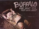 BUFFALO LP: 