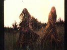 Lion's Roar - First Aid Kit (2012, Vinyl New)