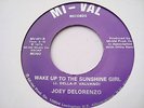 JOEY DELORENZO   WAKE UP TO THE SUNSHINE GIRL