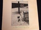 B. J. Cole The New Hovering Dog 1972 UK Pecko Porky Folk Psych Classic