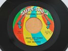 LISA RICHARDS Mean Old World/Take A Chance 45 (Sure Shot) Northern Soul HEAR