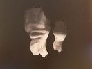 CHVE - Rasa - Vinyl (LP in die-cut sleeve)