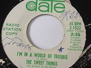 NORTHERN SOUL PROMO 45/ THE SWEET THINGS 