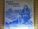 Charles Brauer - Blue Sky & Scraped Knuckles Record Wisconsin Loner Folk Psych