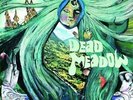 Dead Meadow (2013, Vinyl New)