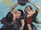 Deliver - Mamas & Papas (2013, Vinyl New)