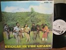 REGGAE IN THE GRASS various artists m-/vg+ vinyl LP album Studio One Compilation