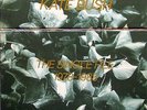 KATE BUSH,  The Single File 1978-1983 (AS NEW) + BONUS (mint)
