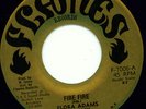 Rare 1975 Roots Reggae - FIRE FIRE - Flora Adams 7