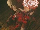 BLOODBATH - Nightmares Made Flesh (Re-release) - Vinyl-LP - black Vinyl