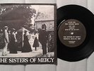 The Sisters of Mercy Damage Done 7